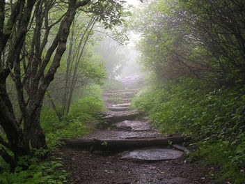 Foggy Fiefdom - Free image #275847